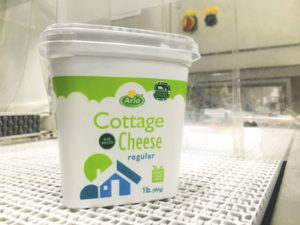 cottage cheese production - Arla Foods